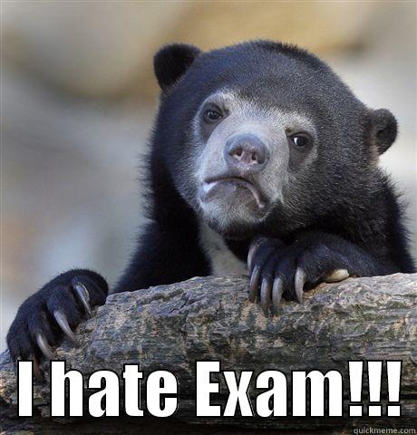    I HATE EXAM!!! Confession Bear