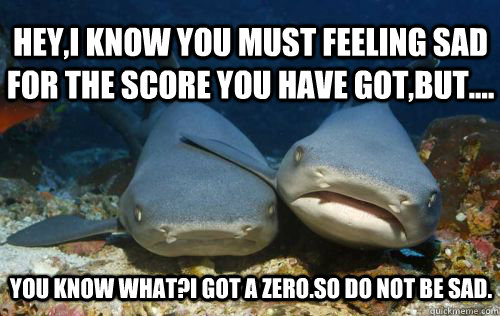hey,i know you must feeling sad for the score you have got,but.... you know what?i got a zero.so do not be sad.  Compassionate Shark Friend