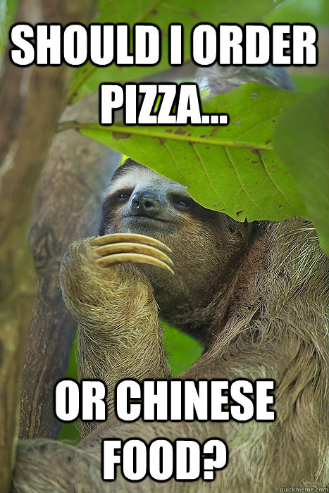 Should I order pizza... or Chinese food?  Philososloth