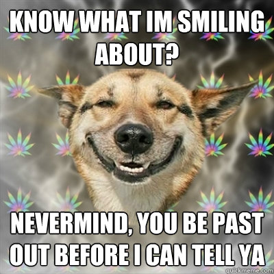 know what im smiling about? Nevermind, You be past out before i can tell ya  Stoner Dog