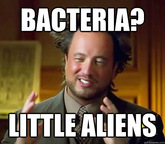 Bacteria? little aliens  Ancient Aliens