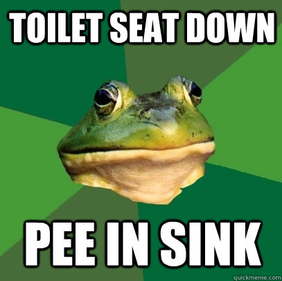 Toilet Seat Down Pee in sink  Foul Bachelor Frog
