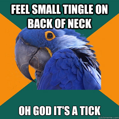 Feel small tingle on back of neck Oh god it's a tick  Paranoid Parrot