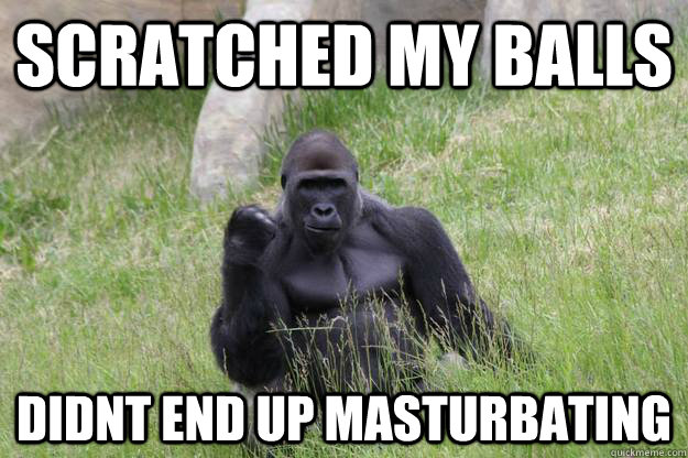 SCRATCHED MY BALLS DIDNT END UP MASTURBATING  Success Gorilla