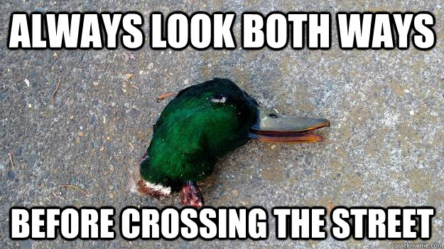 ALWAYS LOOK BOTH WAYS BEFORE CROSSING THE STREET - ALWAYS LOOK BOTH WAYS BEFORE CROSSING THE STREET  DEADVICE MALLARD