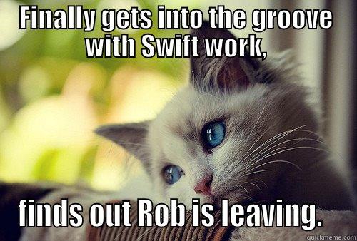 FINALLY GETS INTO THE GROOVE WITH SWIFT WORK, FINDS OUT ROB IS LEAVING.   First World Problems Cat