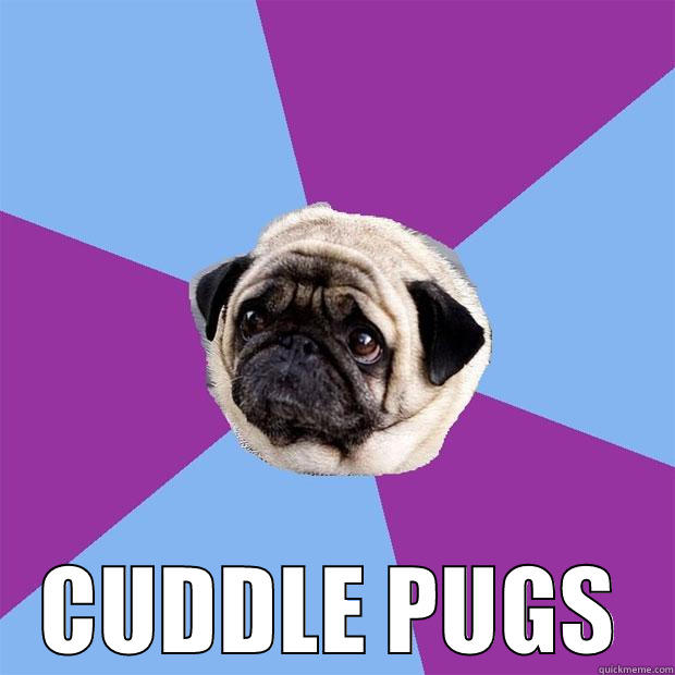 PUGS love -  CUDDLE PUGS Lonely Pug
