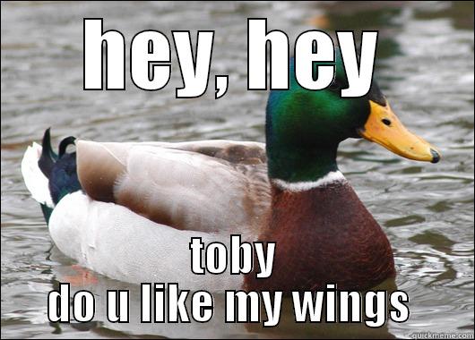 HEY, HEY TOBY DO U LIKE MY WINGS  Actual Advice Mallard