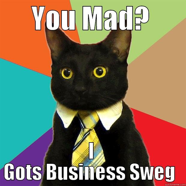 YOU MAD? I GOTS BUSINESS SWEG  Business Cat