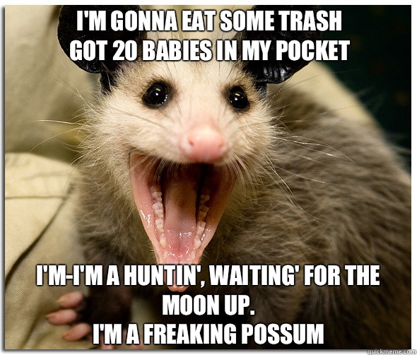 I'm gonna eat some trash
Got 20 babies in my pocket 
 I'm-I'm a huntin', waiting' for the moon up. 
I'm a freaking possum   