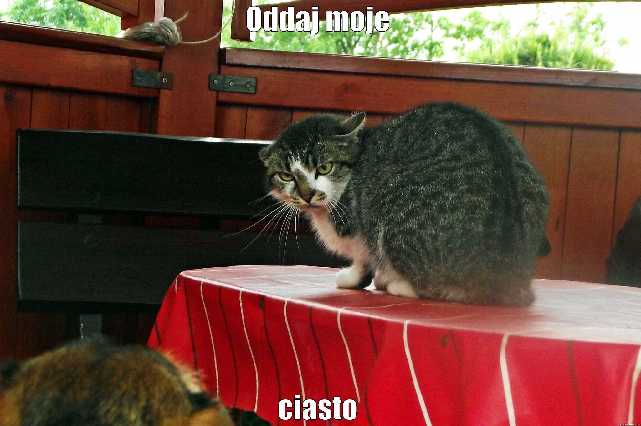 ODDAJ MOJE CIASTO Misc
