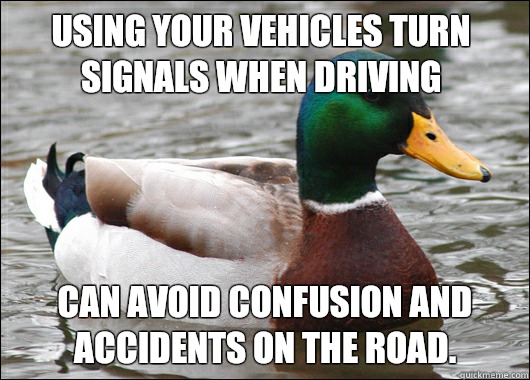 Using your vehicles turn signals when driving  Can avoid confusion and accidents on the road.  Actual Advice Mallard