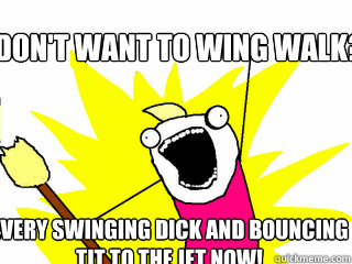 Don't want to wing walk? Every swinging dick and bouncing tit to the jet now!  All The Things