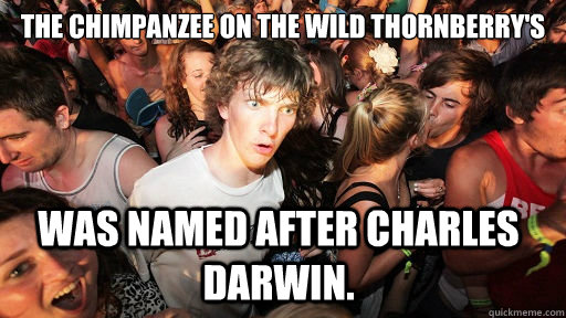 the chimpanzee on the wild thornberry's  was named after charles darwin.  Sudden Clarity Clarence
