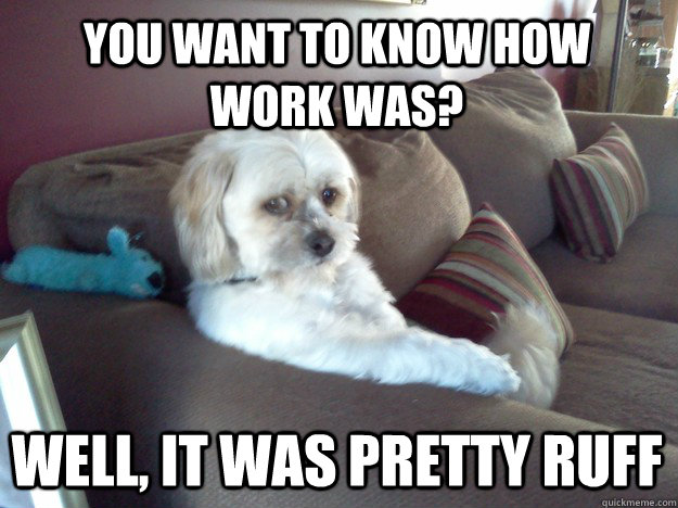 You want to know how work was? Well, it was pretty ruff  Disappointed Doggy
