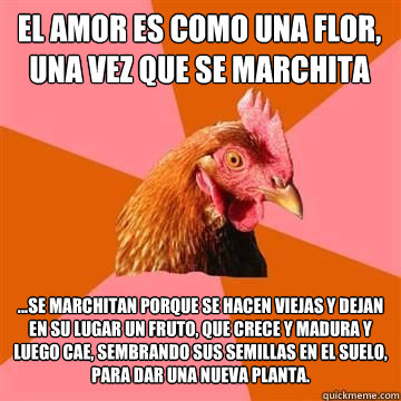 El amor es como una flor, una vez que se marchita ya no... ...se marchitan porque se hacen viejas y dejan en su lugar un fruto, que crece y madura y luego cae, sembrando sus semillas en el suelo, para dar una nueva planta.   Anti-Joke Chicken