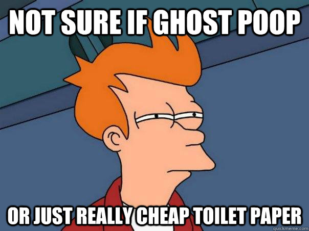 Not sure if ghost poop Or just really cheap toilet paper  Futurama Fry