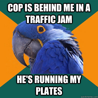 Cop is behind me in a traffic jam He's running my plates  Paranoid Parrot