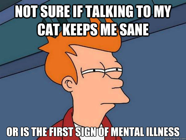 not sure if talking to my cat keeps me sane or is the first sign of mental illness - not sure if talking to my cat keeps me sane or is the first sign of mental illness  Futurama Fry