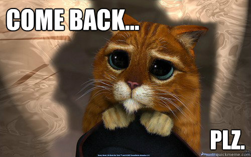 come back... plz.  Sad cat