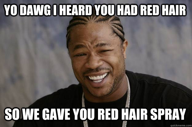 yo dawg i heard you had red hair so we gave you red hair spray  Xzibit meme