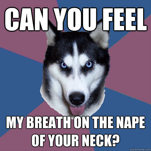 can you feel my breath on the nape of your neck?  Creeper Canine