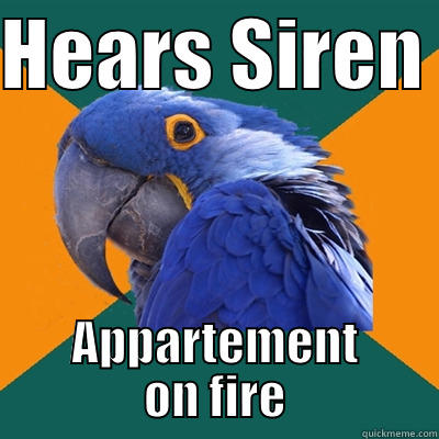 HEARS SIREN  APPARTEMENT ON FIRE Paranoid Parrot