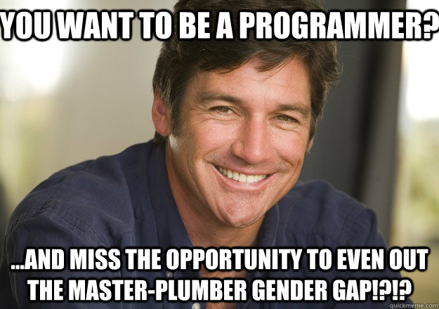 You want to be a programmer? ...and miss the opportunity to even out the master-plumber gender gap!?!?  Not Quite Feminist Phil