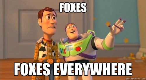 Foxes Foxes everywhere - Foxes Foxes everywhere  Hunger Games Premiere