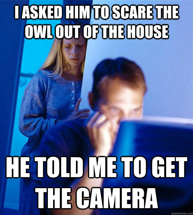 I asked him to scare the owl out of the house he told me to get the camera  Redditors Wife