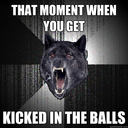 that moment when you get  kicked in the balls   Insanity Wolf
