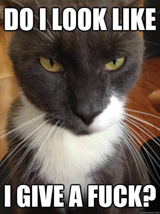 Do I look like I give a fuck?  