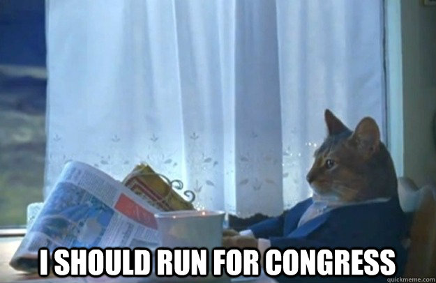  I SHOULD RUN FOR CONGRESS  Sophisticated Cat