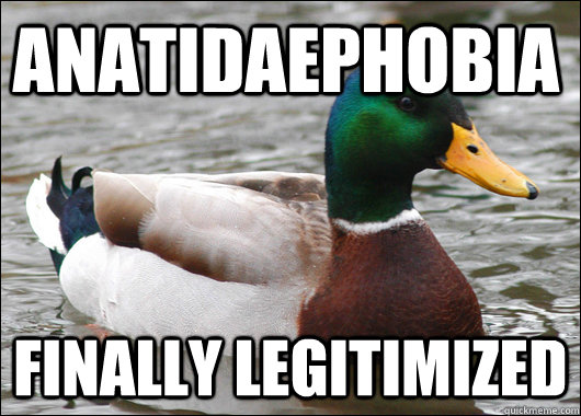 Anatidaephobia  finally legitimized  Actual Advice Mallard