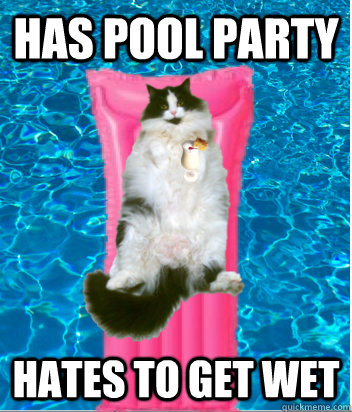 HAS POOL PARTY HATES TO GET WET - HAS POOL PARTY HATES TO GET WET  dumb meme cat