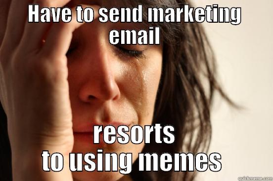 HAVE TO SEND MARKETING EMAIL RESORTS TO USING MEMES  First World Problems