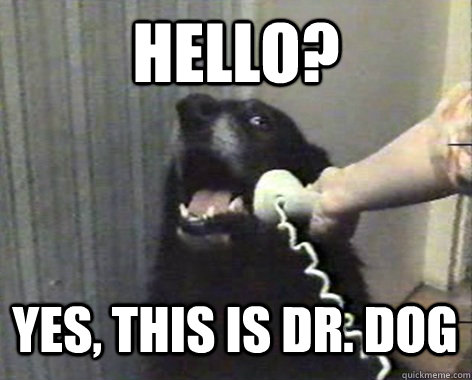 HELLO? Yes, this is Dr. Dog - HELLO? Yes, this is Dr. Dog  yes this is dog