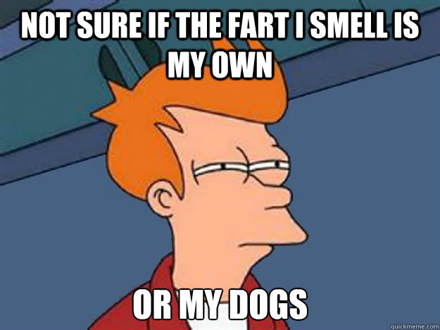 NOT SURE IF THE FART I SMELL IS MY OWN OR MY DOGS  Unsure Fry