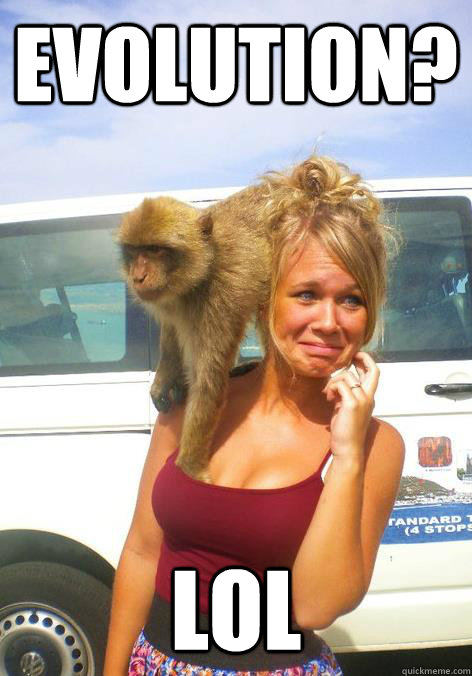 evolution? LOL  Smart Monkey