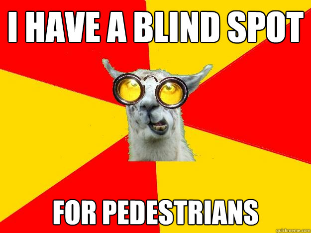 I have a blind spot for pedestrians  Learner Driver Llama