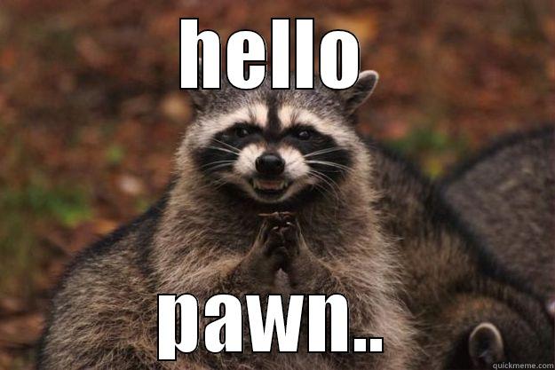 I ate your pawn - HELLO PAWN.. Evil Plotting Raccoon