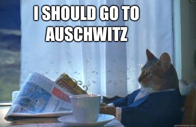 I should go to Auschwitz  Sophisticated Cat
