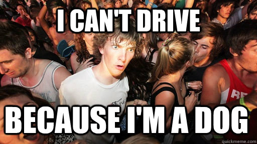 I can't drive Because I'm a dog  Sudden Clarity Clarence