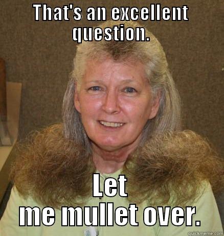 old lady mullet - THAT'S AN EXCELLENT QUESTION. LET ME MULLET OVER. Misc