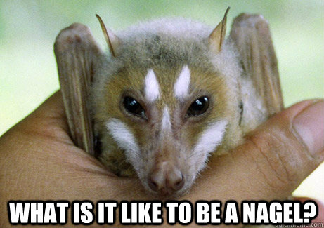 What Is It Like to Be a Nagel? - What Is It Like to Be a Nagel?  Philosophy Bat