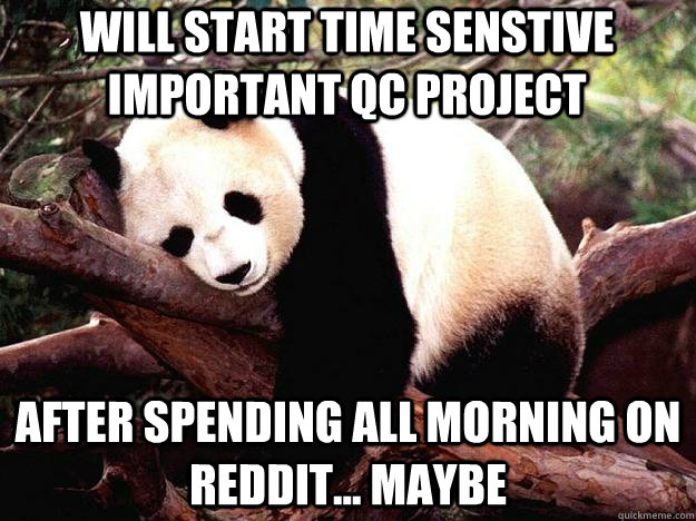 Will start time senstive important QC project After spending all morning on reddit... maybe - Will start time senstive important QC project After spending all morning on reddit... maybe  Misc