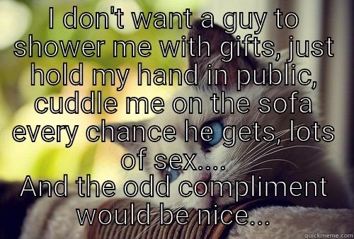 I DON'T WANT A GUY TO SHOWER ME WITH GIFTS, JUST HOLD MY HAND IN PUBLIC, CUDDLE ME ON THE SOFA EVERY CHANCE HE GETS, LOTS OF SEX.... AND THE ODD COMPLIMENT WOULD BE NICE... First World Problems Cat