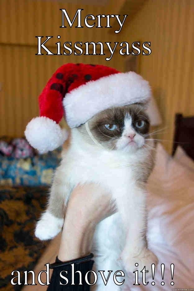 Grumpy Cat Christmas Greeting - MERRY KISSMYASS AND SHOVE IT!!! Grumpy xmas