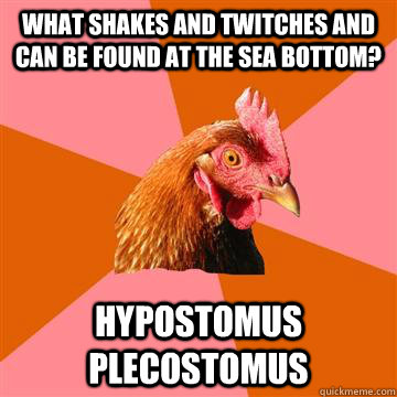 What shakes and twitches and can be found at the sea bottom?  Hypostomus plecostomus  Anti-Joke Chicken