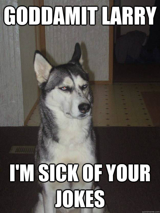 goddamit larry i'm sick of your jokes - goddamit larry i'm sick of your jokes  Annoyed Husky